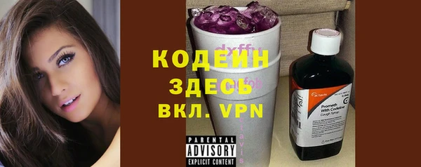 сатива Вяземский