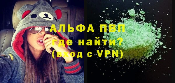 сатива Вяземский