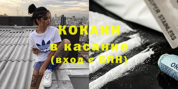 сатива Вяземский