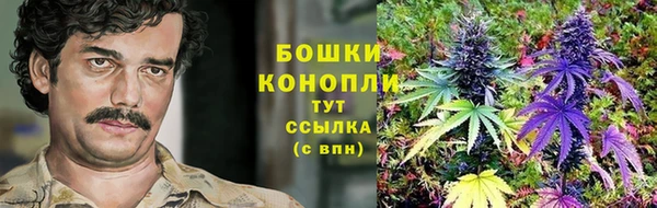 сатива Вяземский
