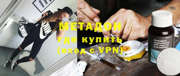 сатива Вяземский