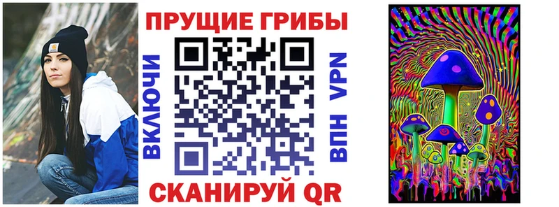 где найти   Мценск  Псилоцибиновые грибы Psilocybe 