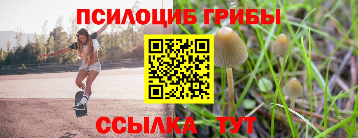 Мценск  Псилоцибиновые грибы MAGIC MUSHROOMS  Вход с VPN 